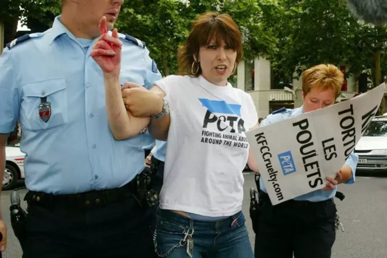 July 16th, 2003: KFC Protest Gets The Pretenders’ Chrissie Hynde Arrested