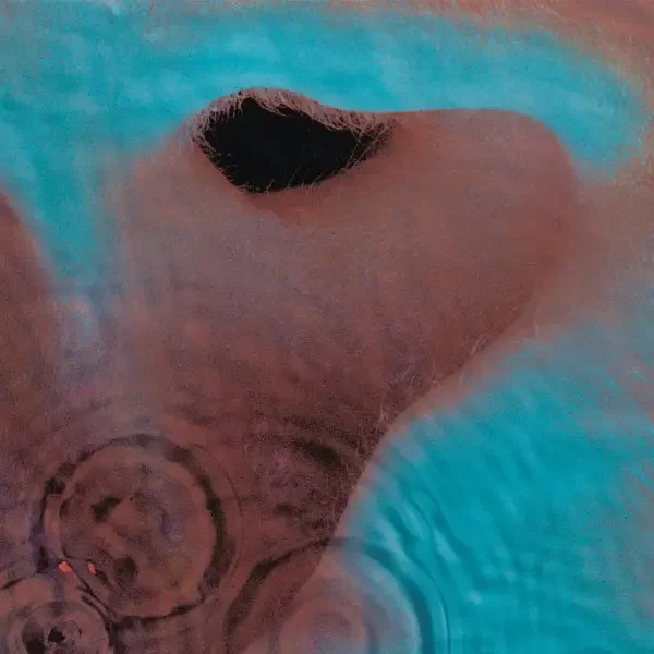 Pink Floyd - Meddle (1971)