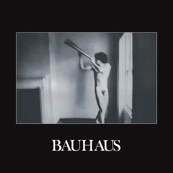 Bauhaus - In the Flat Field (1980)